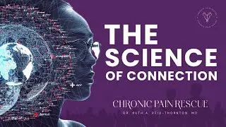 What is the Science of Connection? | Chronic Pain Rescue