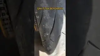 SAKIT TAK BERDARAH SI GAMBOT KENA RANJAU #shorts