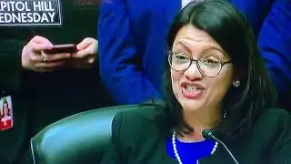 Lynne Patton responds to racist Rashida Tlaib