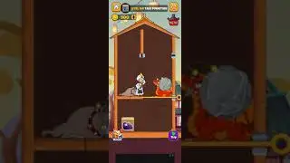 home pin level 160