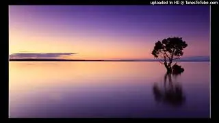 Rap-Trick Daddy Eminem Ja Rule - Shut Up Remix