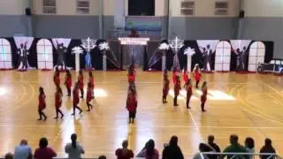 Gymnastics ASJ 2017 Seniors