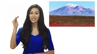 Organic Royal Quinoa