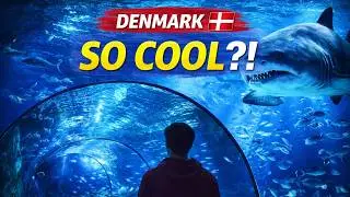 National Aquarium Denmark