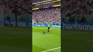 Why Is a Turkey Chasing the Referee 🦃