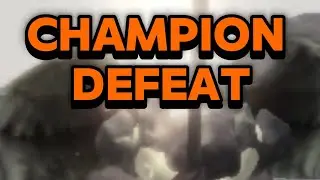 Champion [showcase] the rakoof kill test (defeat) fighter class
