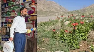 Nomadic Life: Living Between Two Worlds: Ali's Trip to the City to Buy Family Necessities