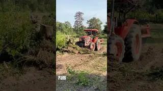 Land Clearing with Power! Tractor in Action 🚜🌿