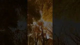 Moses&rsquo; Final Warning Before Death | The Untold Admonition to Israel #viral