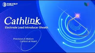 Cathlink Electrode Lead Introducer Sheath