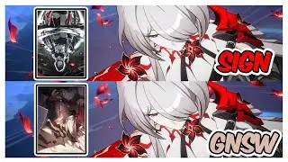 GNSW VS Along the Passing Shore | ACHERON DPS HONKAI STAR RAIL