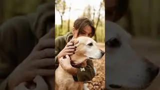 3 Classic Labrador Colors!