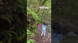 Bay Area hikes !