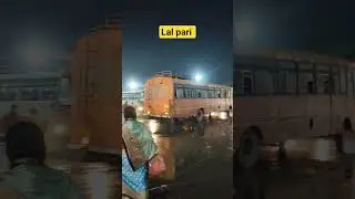 Lal pari 1080 #shortfeeds #travel #driver #coach #viral #ytshorts #shorts #travelblog #trending #bus