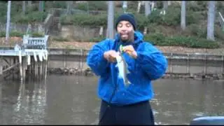 The Urban Angler