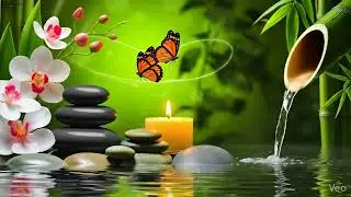 Beautiful Calming Music for Stress, Worry and Overthinking 🌿 Relaxing Music for Emotional Balance🌿