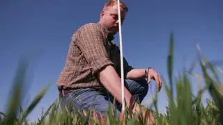 Driftsleder: Mal planten for optimal timing