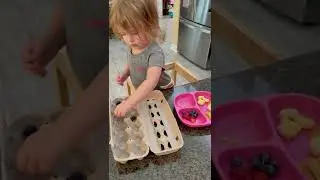 Sorting the Blueberry snack