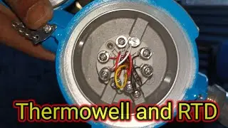 Thermowell and RTD.
