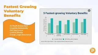 Voluntary Benefits in the Workplace