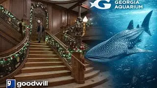 Обзор вещей из отпуска в горы и самый большой аквариум в США. Исполнение мечты. Музей Титаника