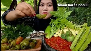 MAKAN MENU SEDERHANA FULL LALAPAN !!! 