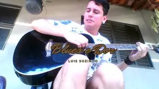 Affonsinho - Blues e Dor