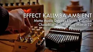 Kalimba Ambient【Chase Bliss HABIT, MOOG Mother32, METTA AUDIO DEVICES KALIMBA, YAMAHA THR5A, Cats 】