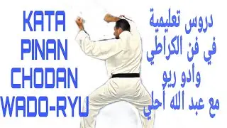 KATA: PINAN SHODAN DU STYLE WADO-RYU كاطا: بينان شودان في أسلوب الوادو ريو الحصة الثامنة🔥🔥