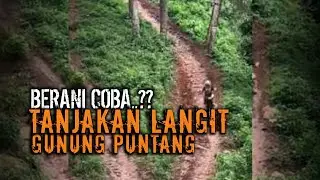 Tanjakan Langit Gunung Puntang |jalurtrail