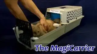 MagiCarrier by K-Kat