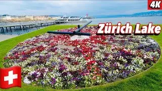 Beautiful Zurich Lake | Switzerland @LineyLakhiSparks
