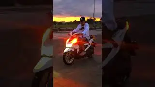 Honda beat v3 premium variant