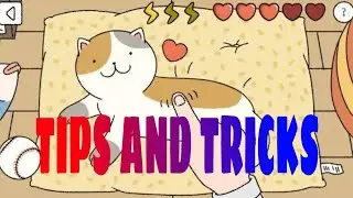 Adorable Home - Cat Tasks Tips and Tricks