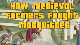 How Medieval Farmers Fought Mosquitoes: Amazing Methods of Protection