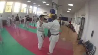 SenseiVladimirZolottev KravMaga Romania July2016