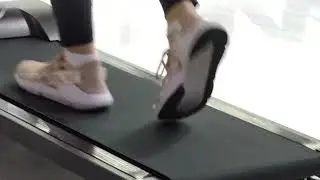 Alivio Pro 1.5HP Treadmill With Bluetooth/LCD Display