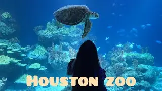 Houston Zoo #usalifestyles #houstonzoo #vlogger #houstontx #travelvlog 