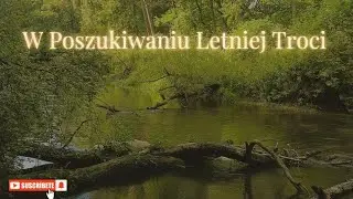 W poszukiwaniu letniej Troci, wędkarski poligon z robalami i pokrzywami