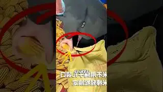 This Corn Bag Trick Will Blow Your Mind
