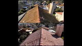 Roof Algae Cleaning in Oceanside CA