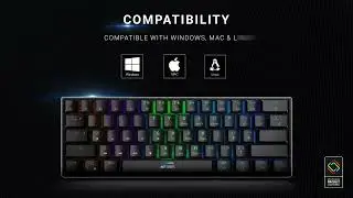 Elevate Your Gaming with Ant Esports MK1300 Mini Wired Mechanical Keyboard!