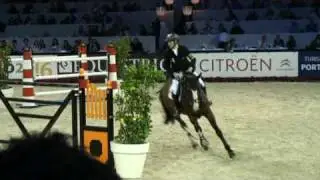 ♂ Plot Blue- jumping stallion  (KWPN) by Mr Blue
