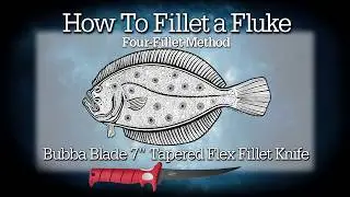 How to Fillet a Fluke