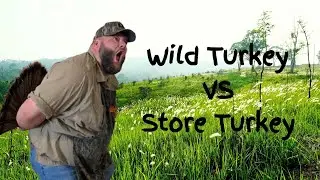 Wild Turkey Versus Store Bought Turkey. Which one is better?
