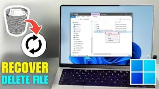 How To Recover Deleted Files From Recycle Bin