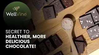 The Secret to Healthier, More Delicious Chocolate! | WellVine&trade;