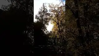 #велосезон#закончены_романтичные_прогулки#autumn#live#мир#world#seasons#news#art#