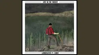 Lost in the Thicket
