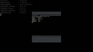 How to Enable Dark Mode in Jupyter Notebook